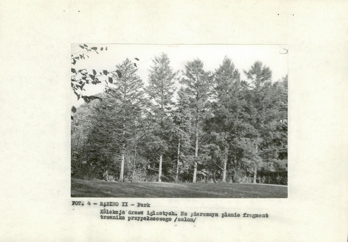 EP - Ewidencja parkowa, skan nr 14