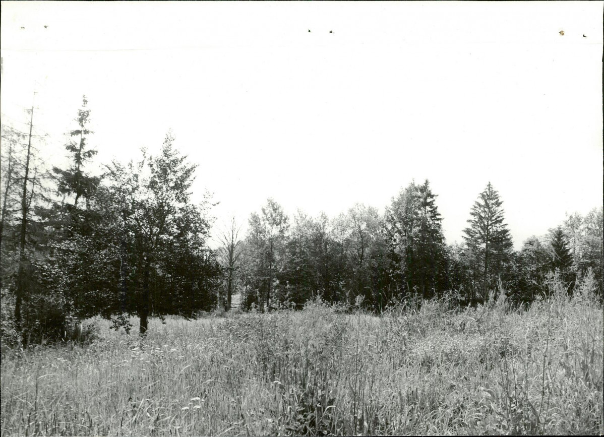 Ewidencja parkowa, skan nr 20