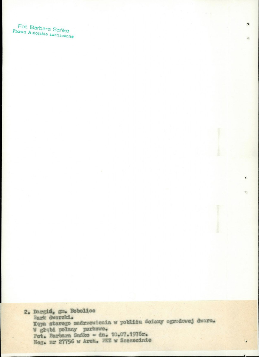 EP - Ewidencja parkowa, skan nr 17