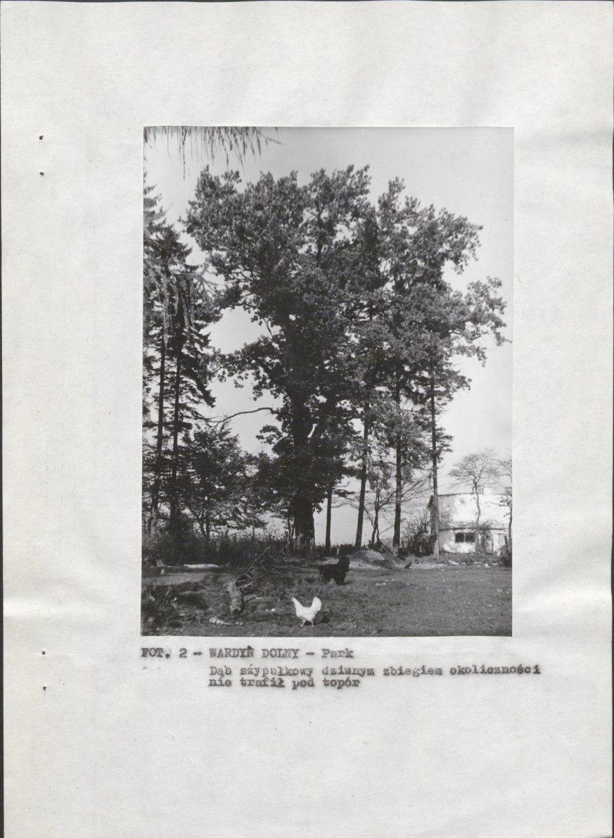 EP - Ewidencja parkowa, skan nr 11