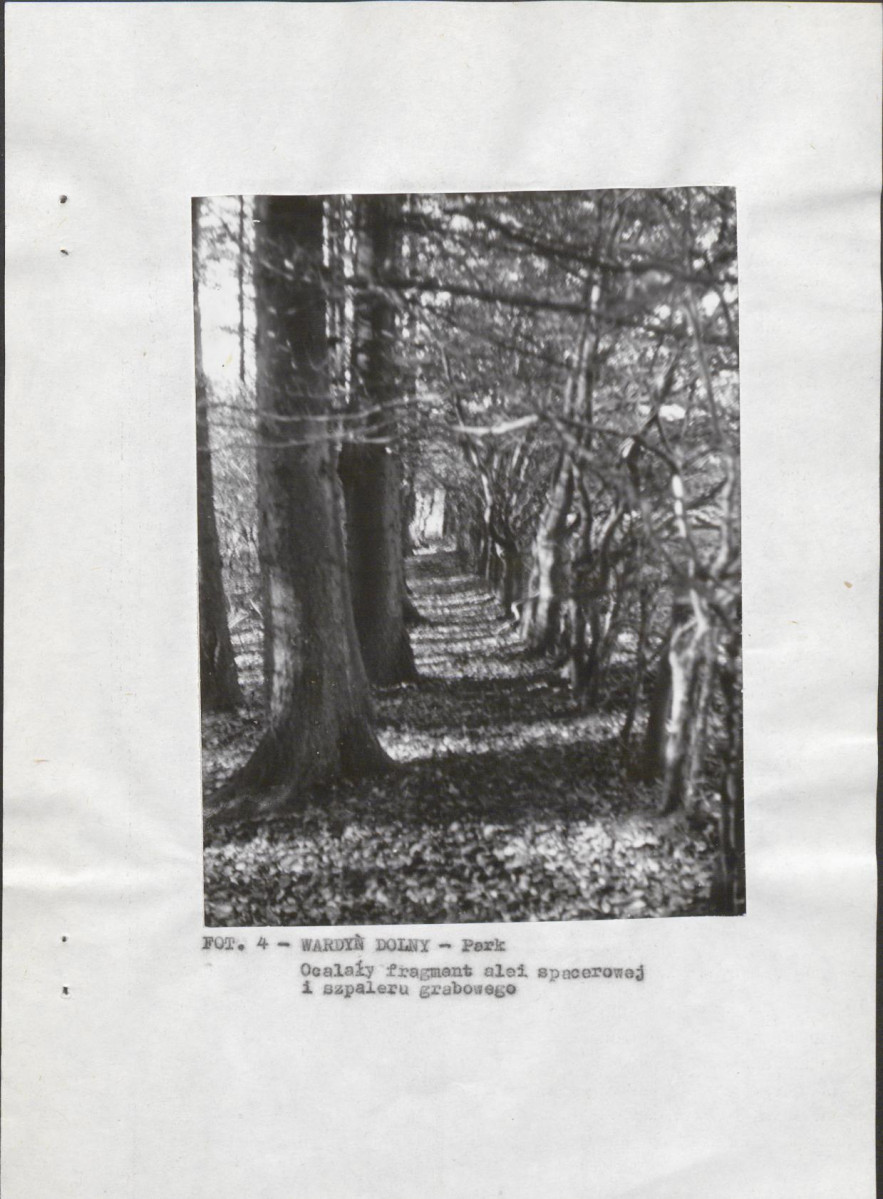 EP - Ewidencja parkowa, skan nr 13