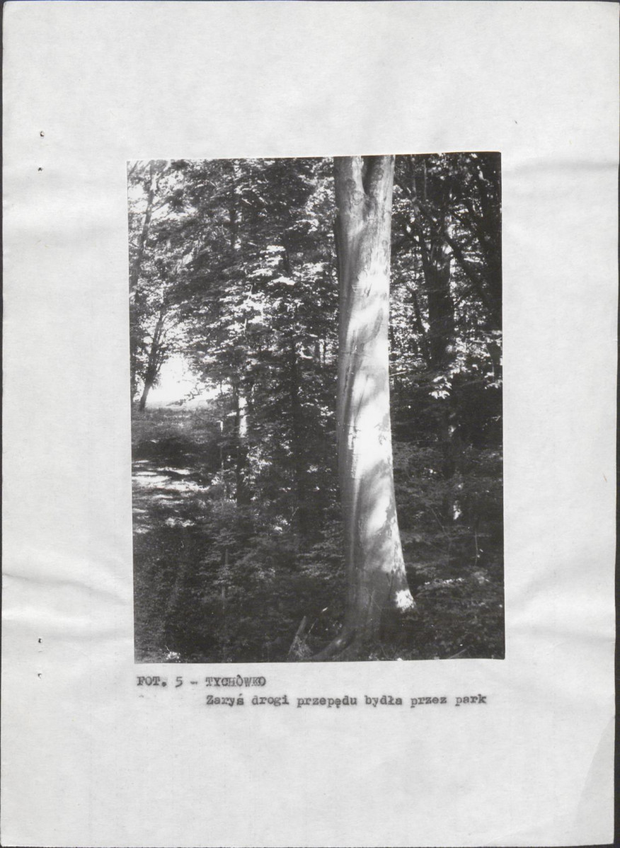 EP - Ewidencja parkowa, skan nr 14