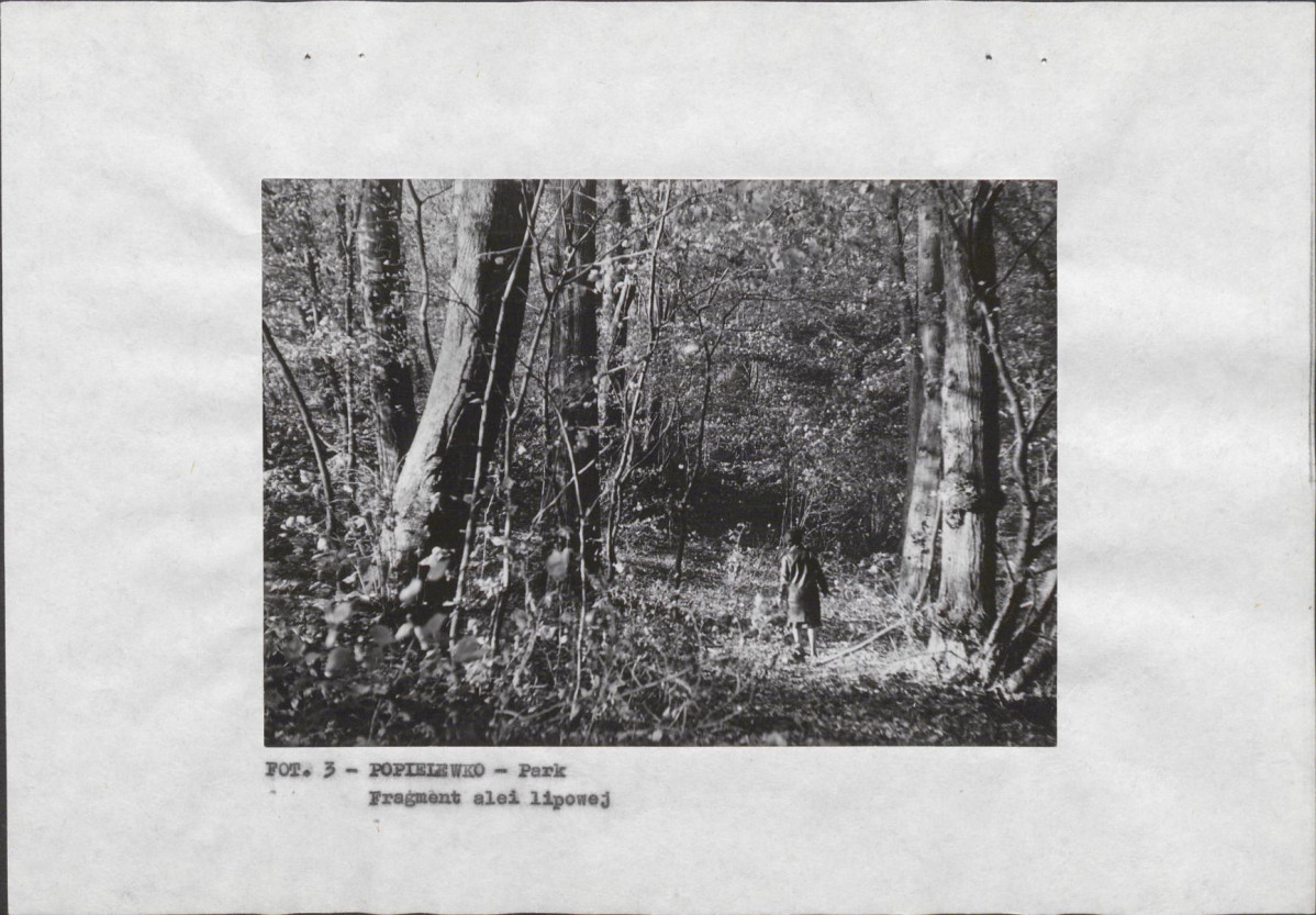EP - Ewidencja parkowa, skan nr 12