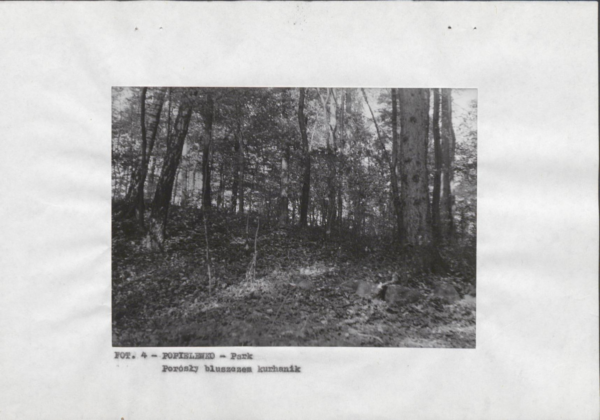 EP - Ewidencja parkowa, skan nr 13