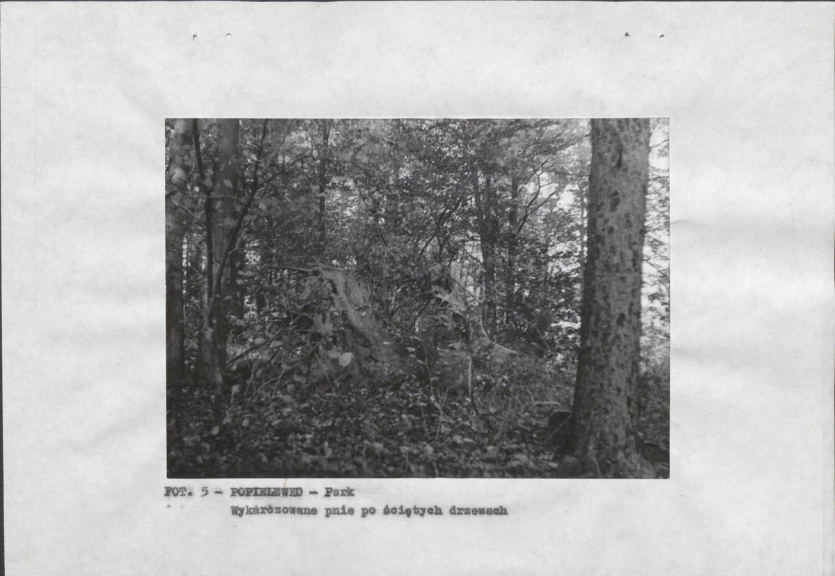 EP - Ewidencja parkowa, skan nr 14