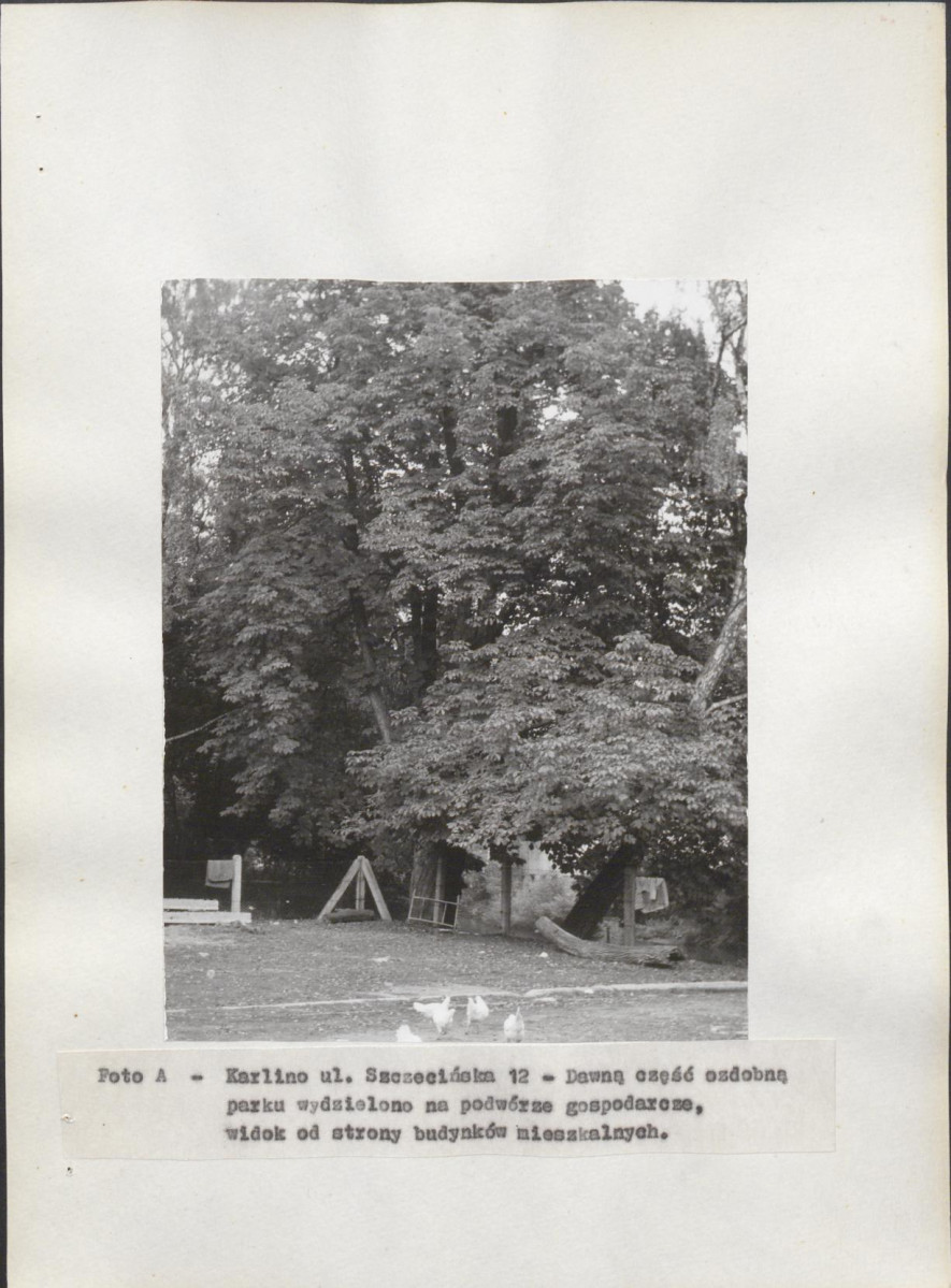 Ewidencja parkowa, skan nr 13