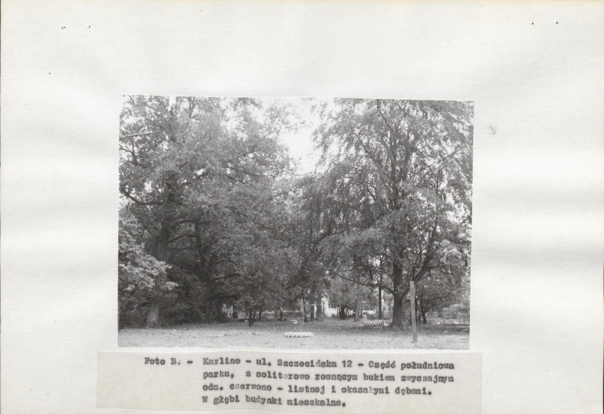 Ewidencja parkowa, skan nr 14