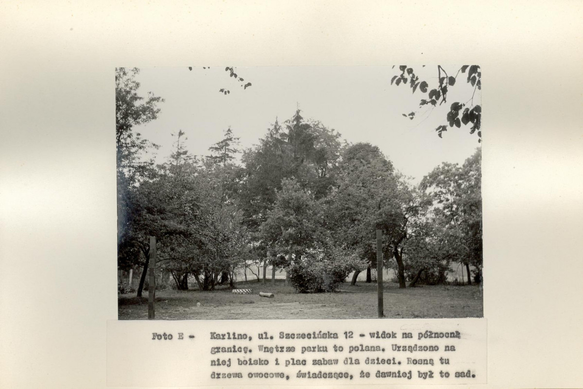 Ewidencja parkowa, skan nr 17