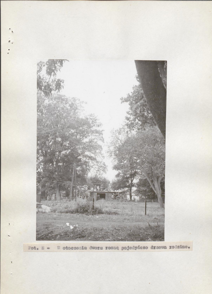 Ewidencja parkowa, skan nr 16