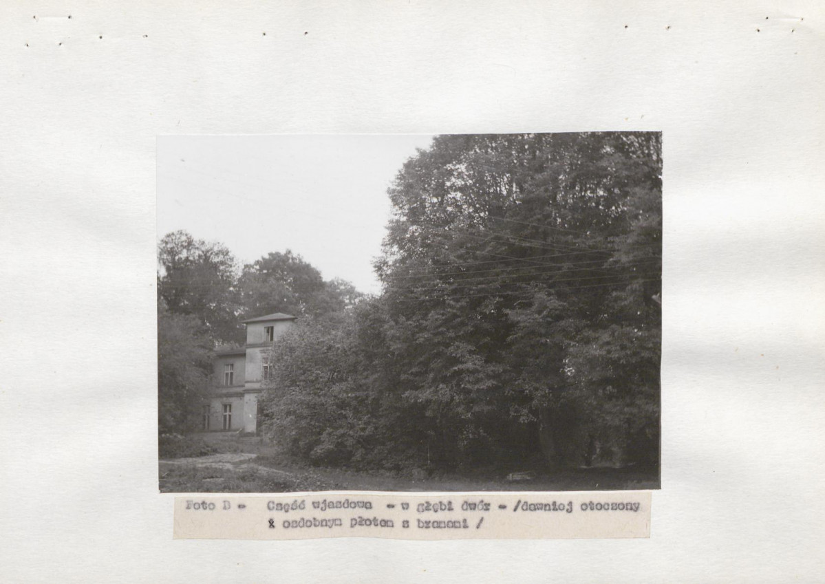 Ewidencja parkowa, skan nr 13