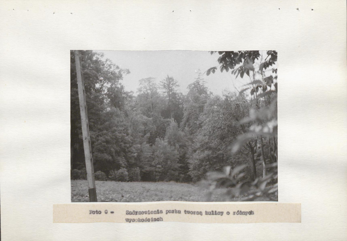 Ewidencja parkowa, skan nr 17