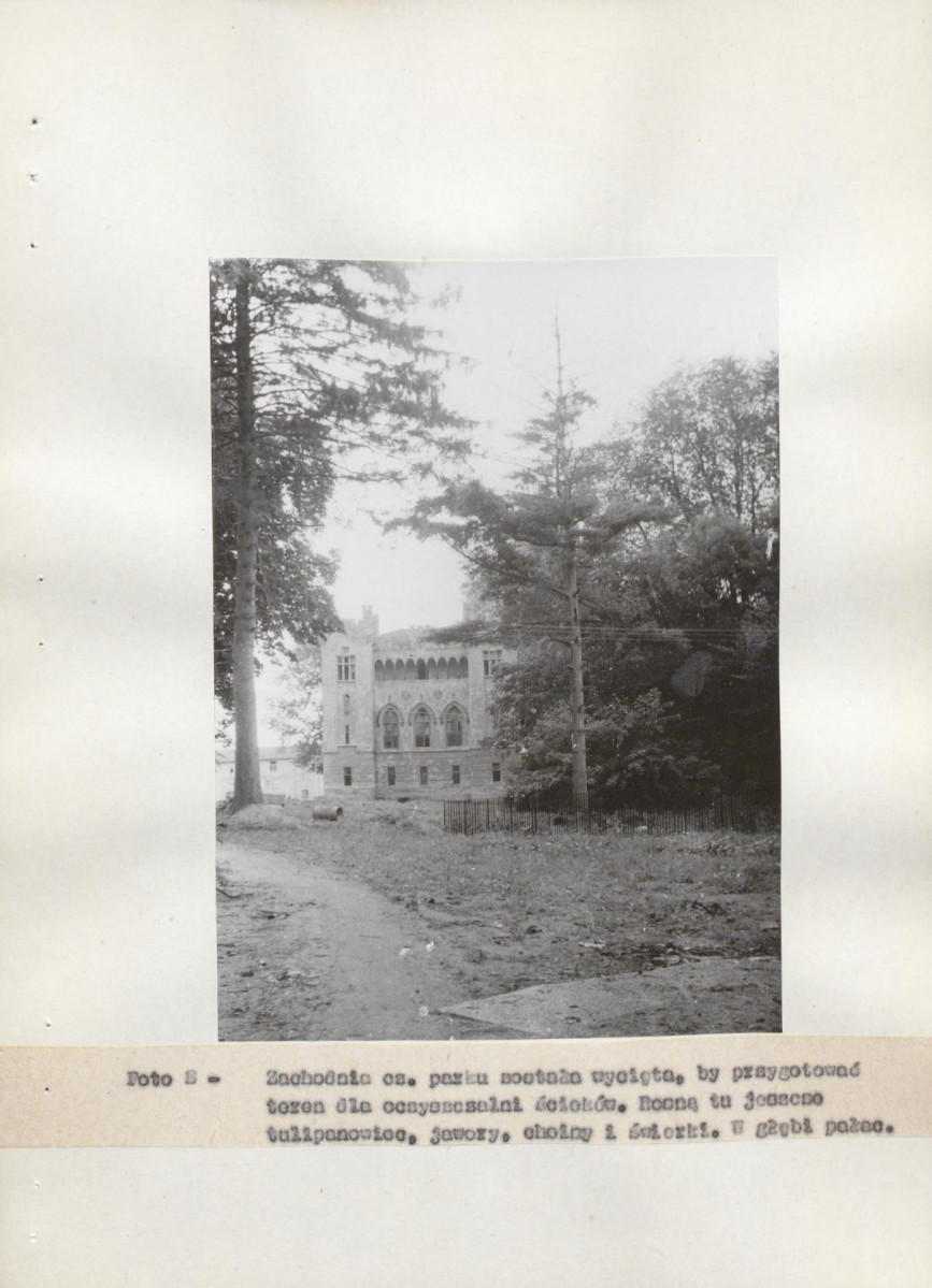 Ewidencja parkowa, skan nr 19