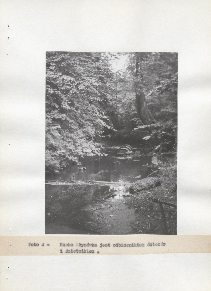 Ewidencja parkowa, skan nr 23