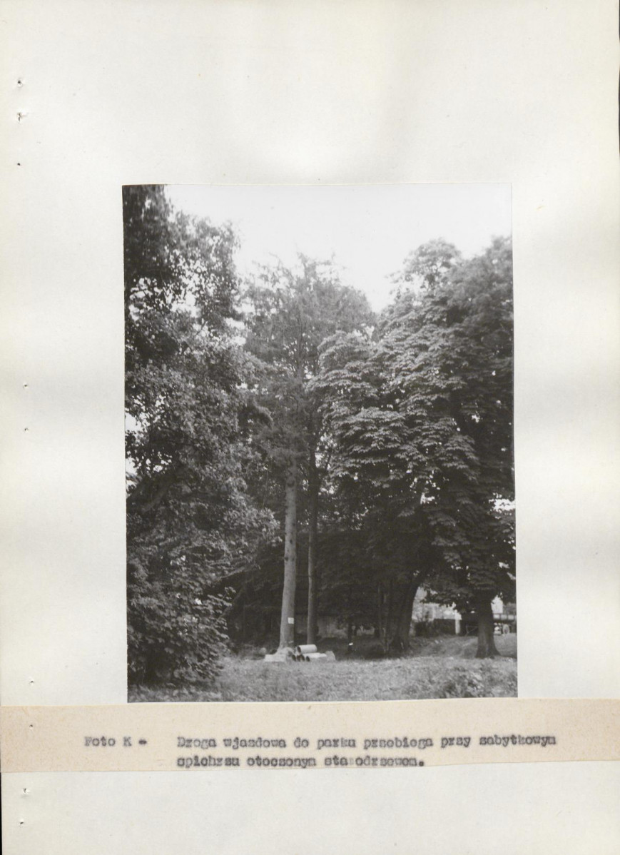 Ewidencja parkowa, skan nr 24