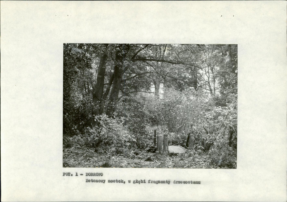 Ewidencja parkowa, skan nr 10