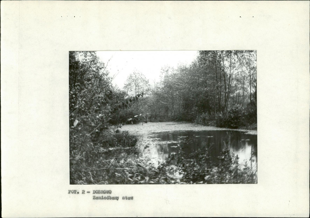 Ewidencja parkowa, skan nr 11