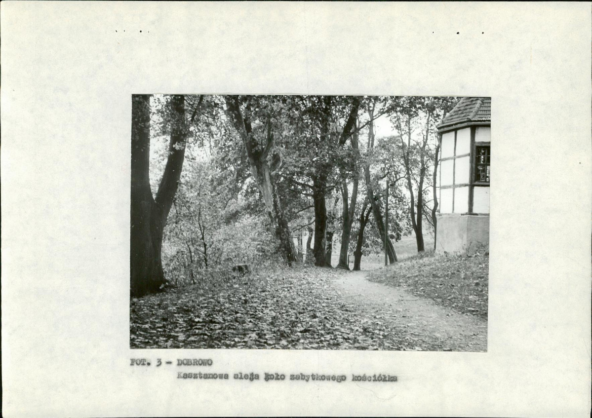 Ewidencja parkowa, skan nr 12