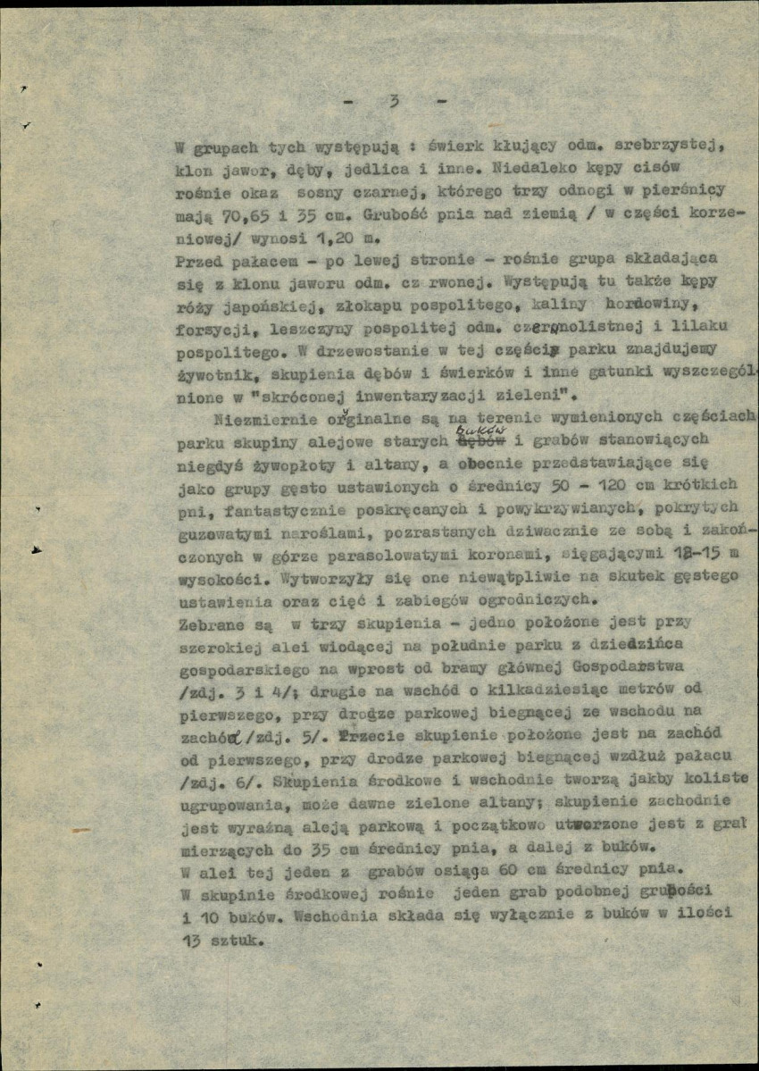 Ewidencja parkowa, skan nr 7