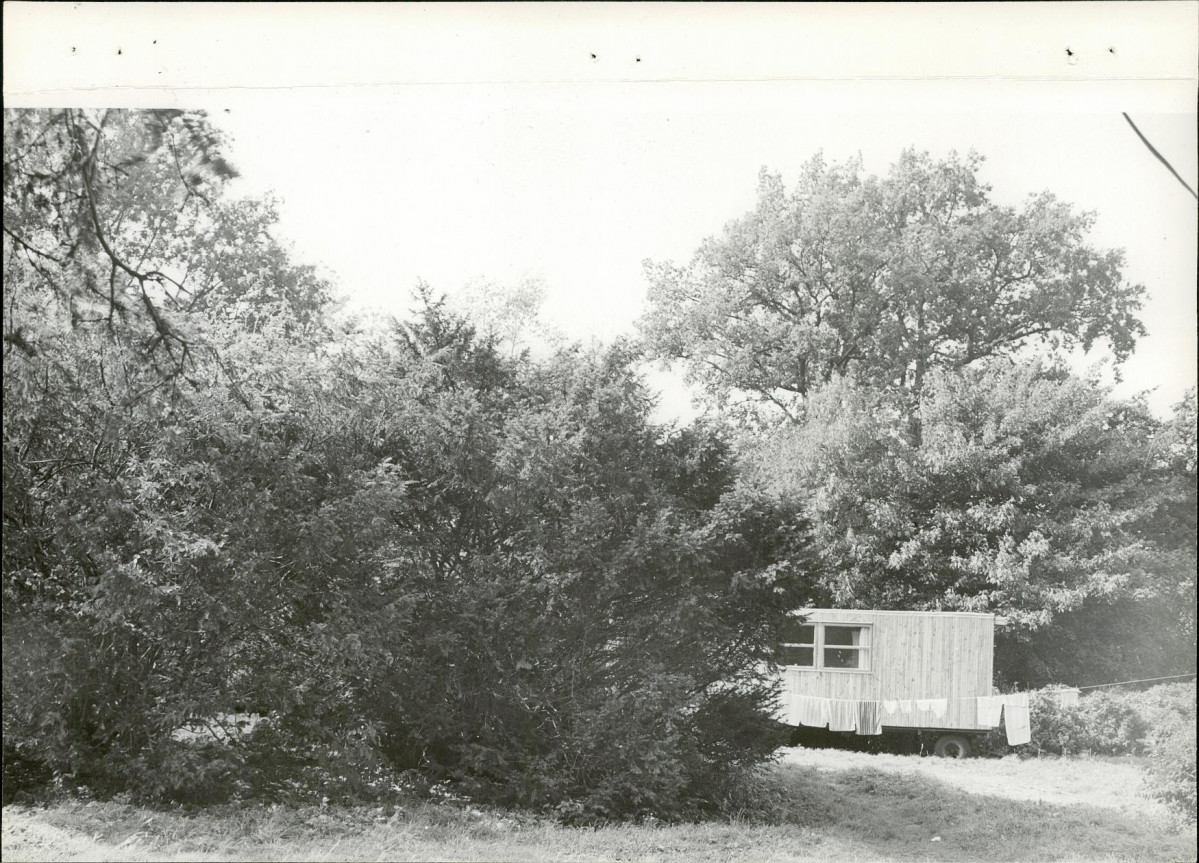 Ewidencja parkowa, skan nr 17