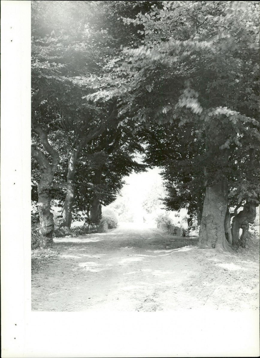 Ewidencja parkowa, skan nr 21