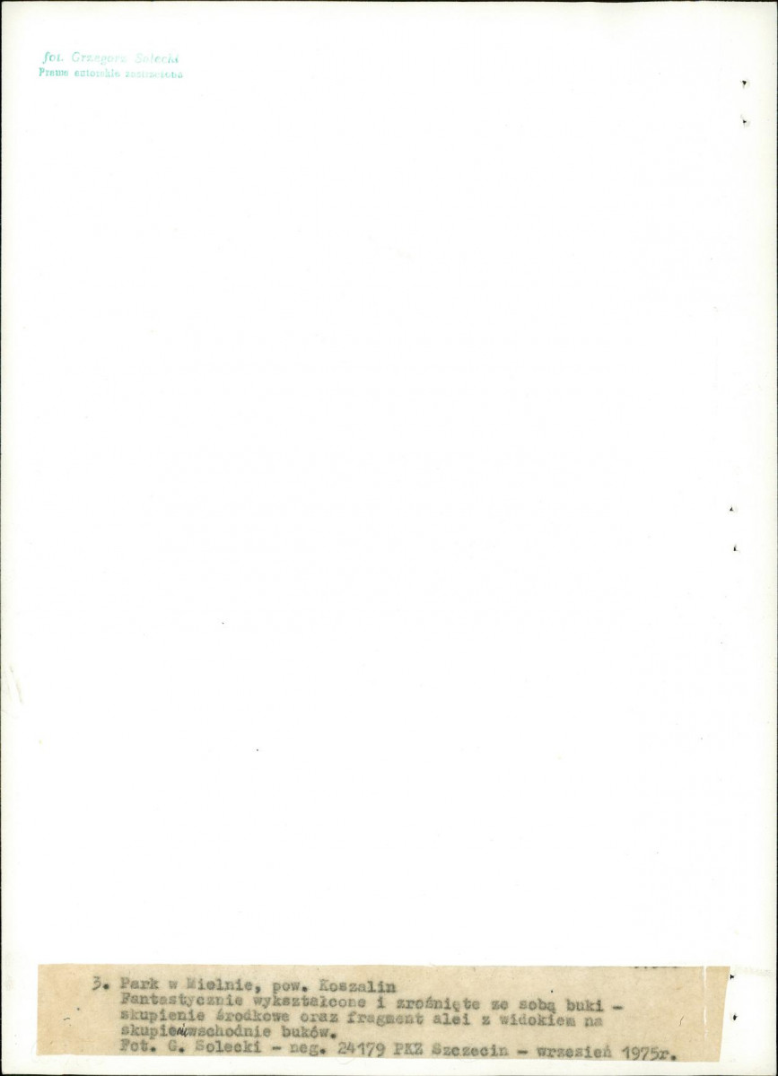 Ewidencja parkowa, skan nr 22