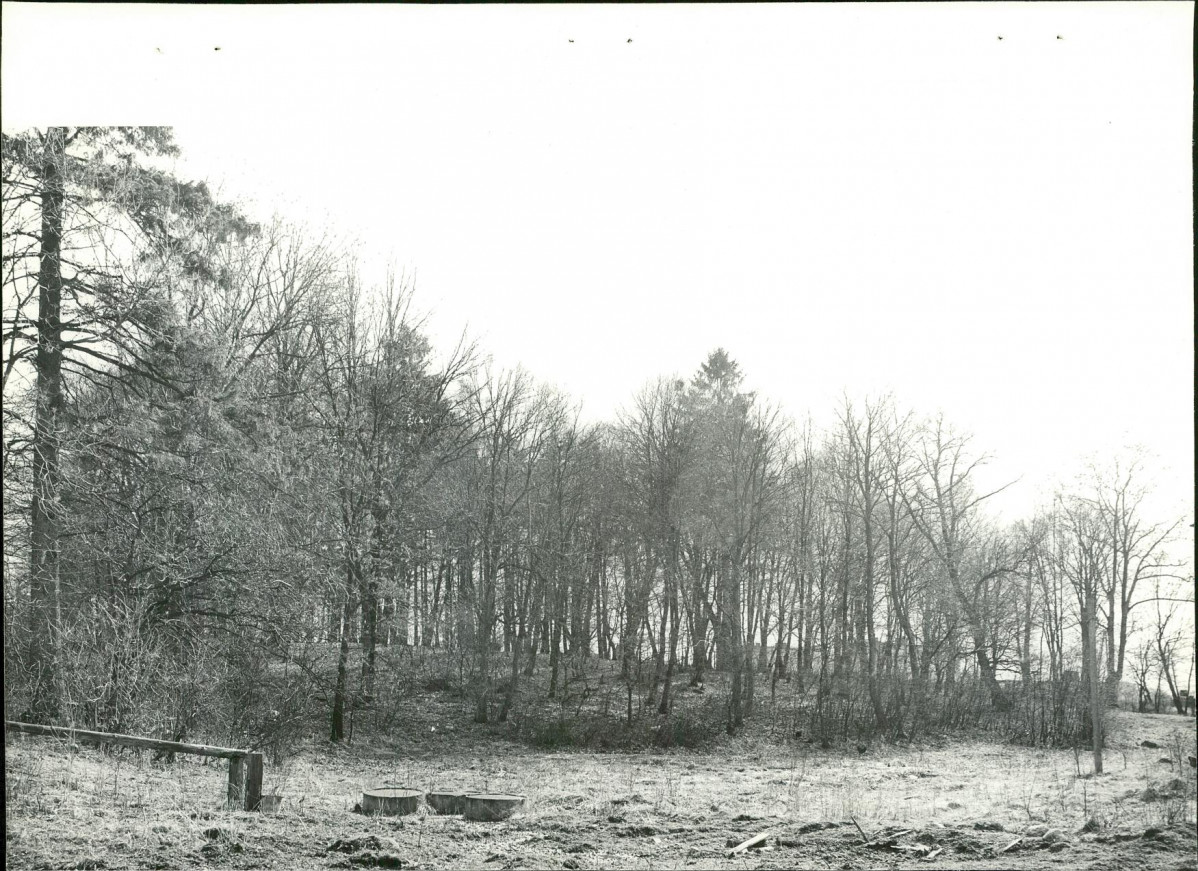 Ewidencja parkowa, skan nr 20