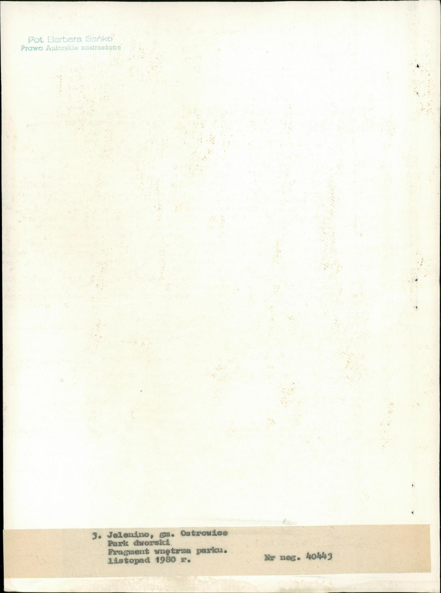 Ewidencja parkowa, skan nr 23