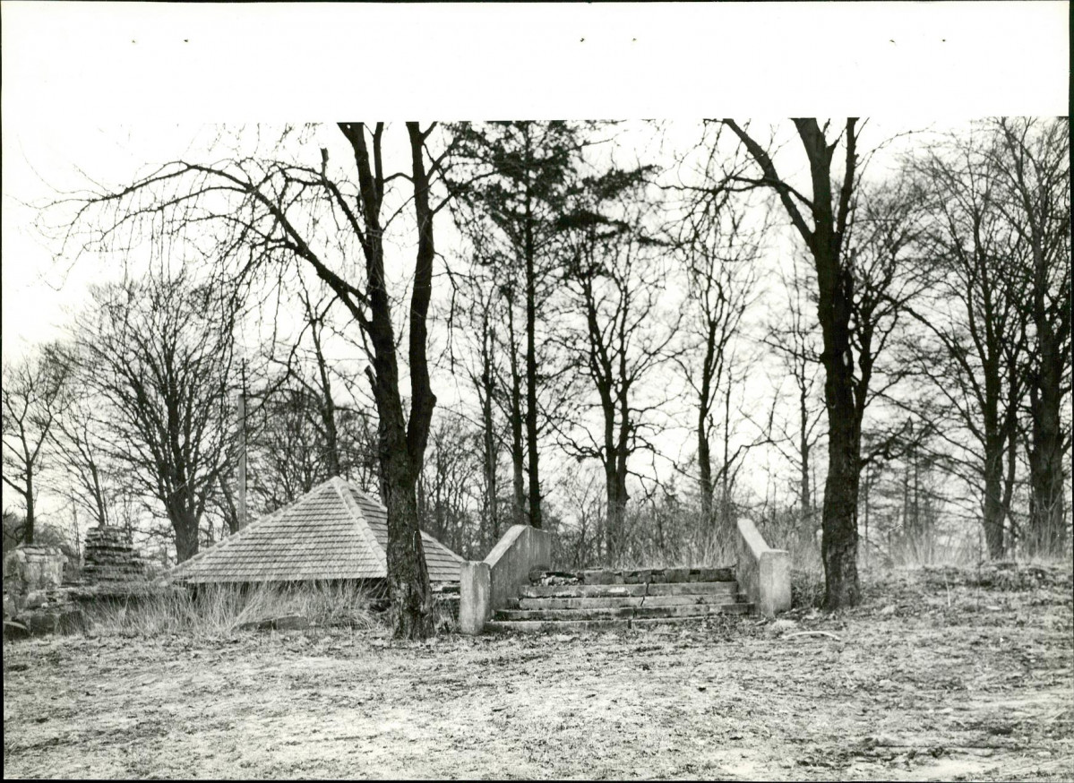 Ewidencja parkowa, skan nr 16