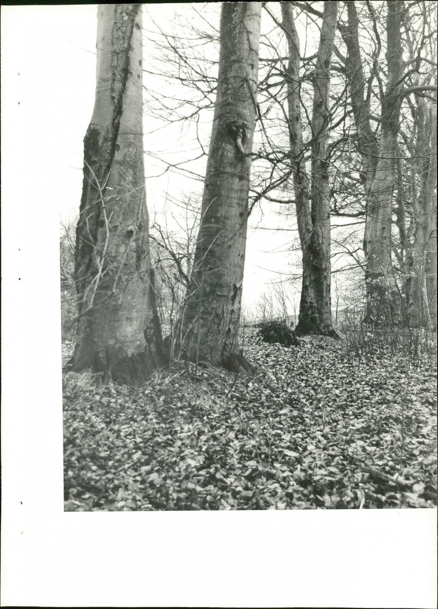 Ewidencja parkowa, skan nr 20