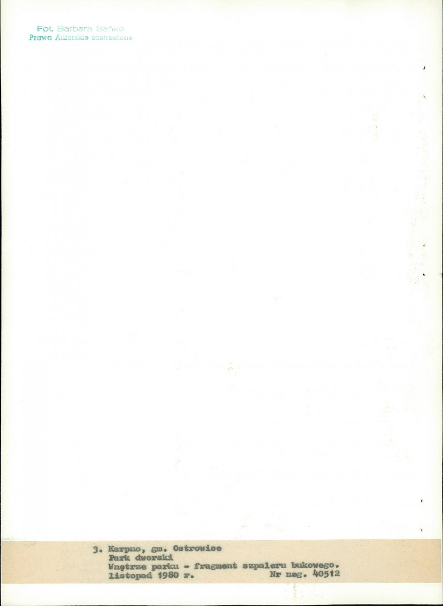 Ewidencja parkowa, skan nr 21