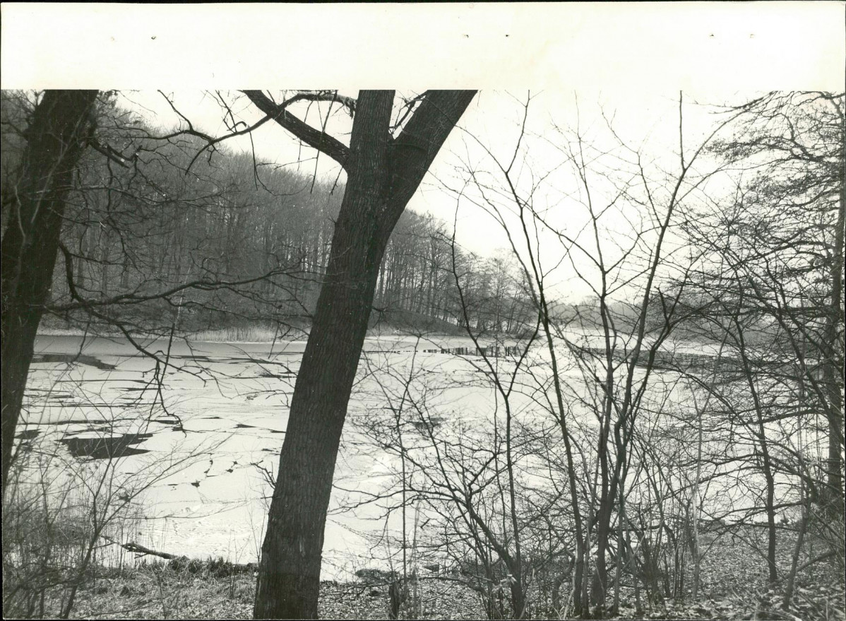 Ewidencja parkowa, skan nr 22