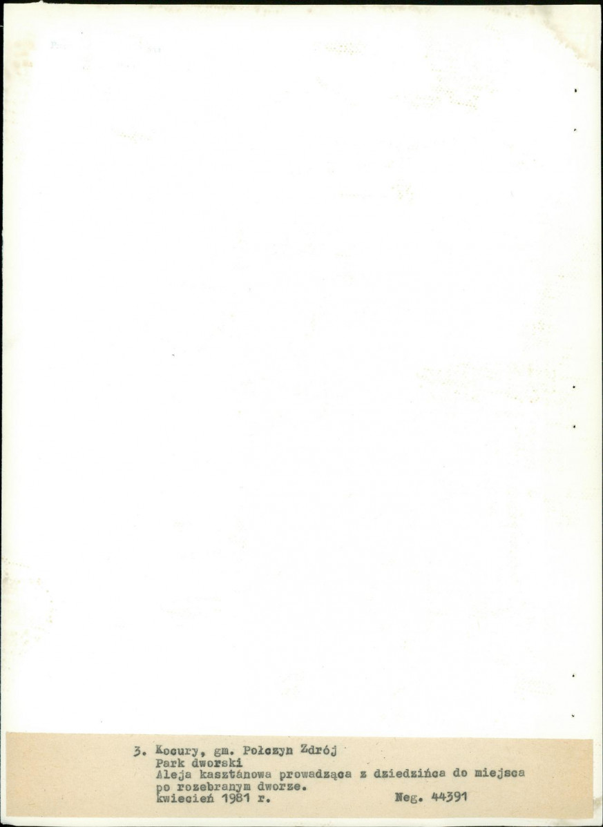 EP - Ewidencja parkowa, skan nr 23