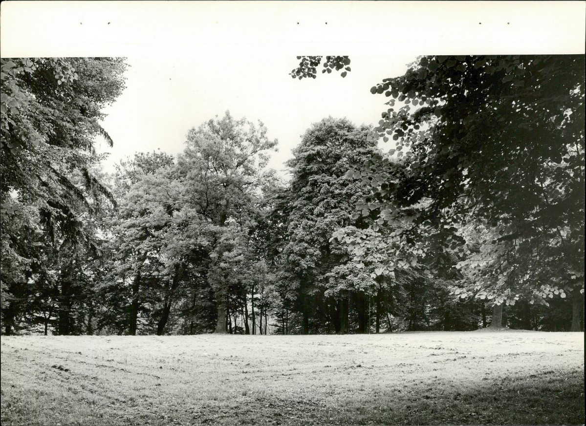 Ewidencja parkowa, skan nr 28