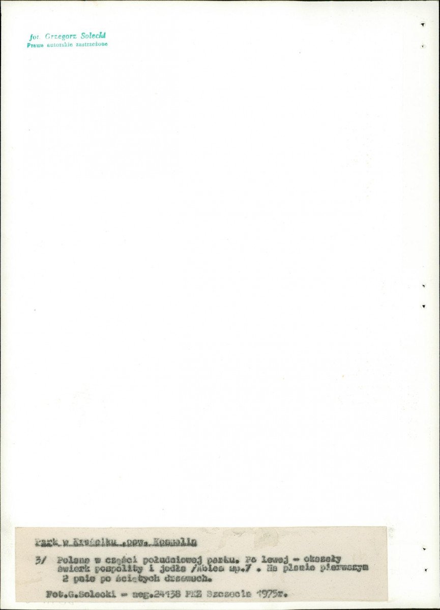 Ewidencja parkowa, skan nr 22