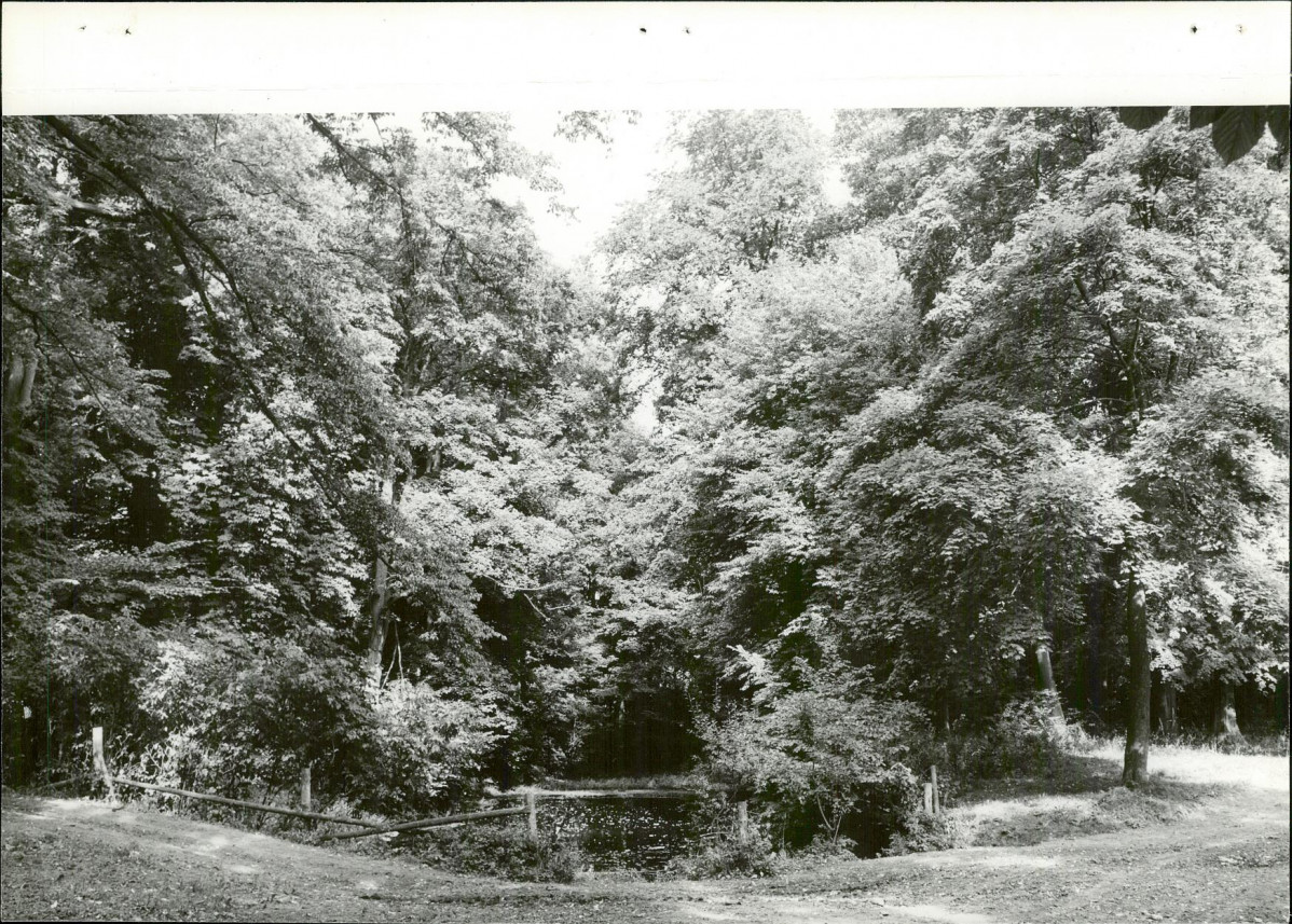 Ewidencja parkowa, skan nr 23