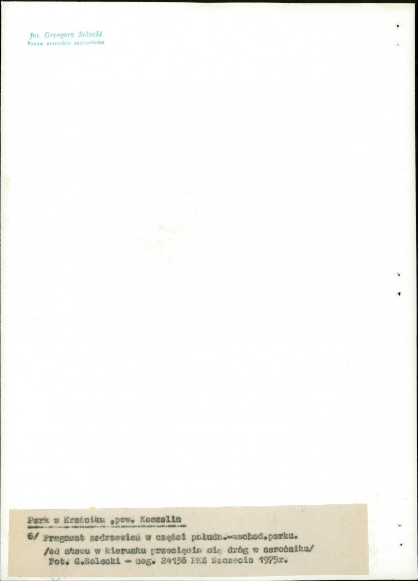 Ewidencja parkowa, skan nr 28