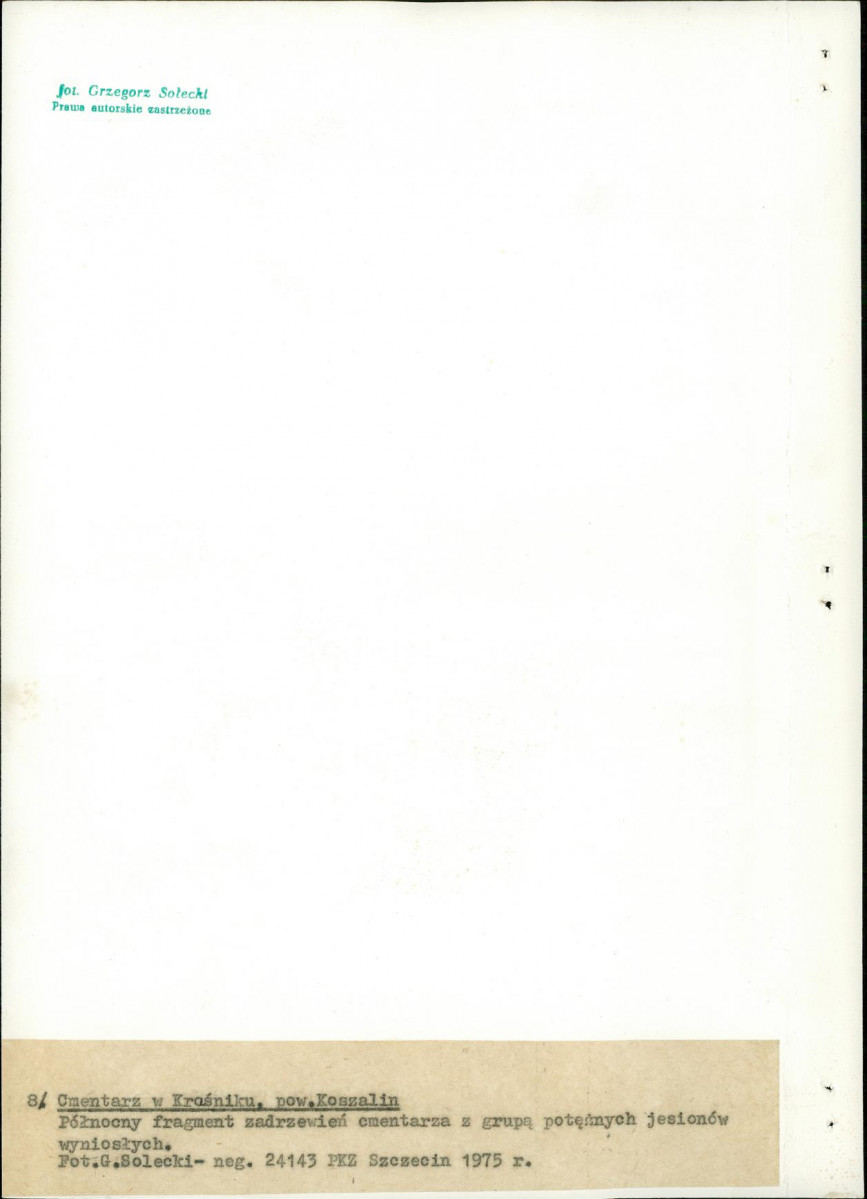 Ewidencja parkowa, skan nr 32