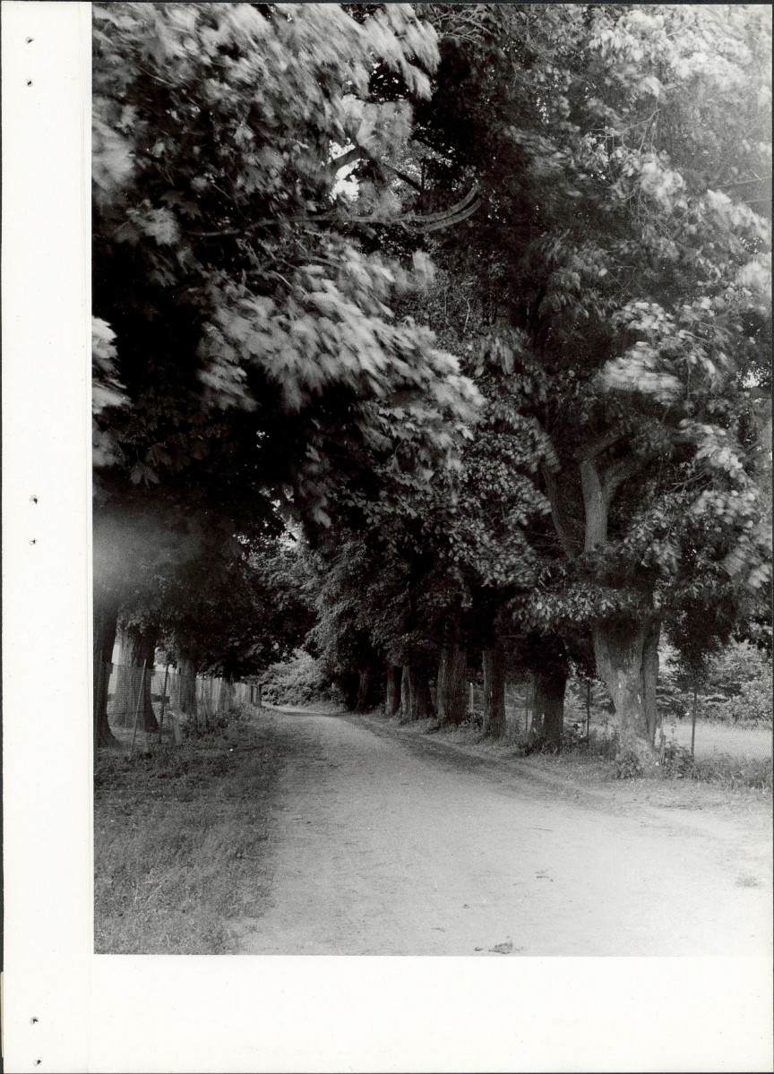 Ewidencja parkowa, skan nr 15