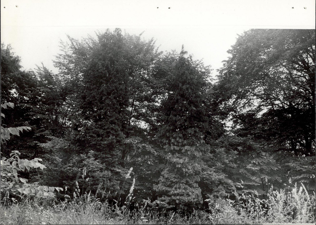 Ewidencja parkowa, skan nr 23