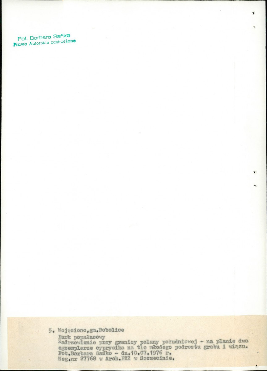 Ewidencja parkowa, skan nr 24