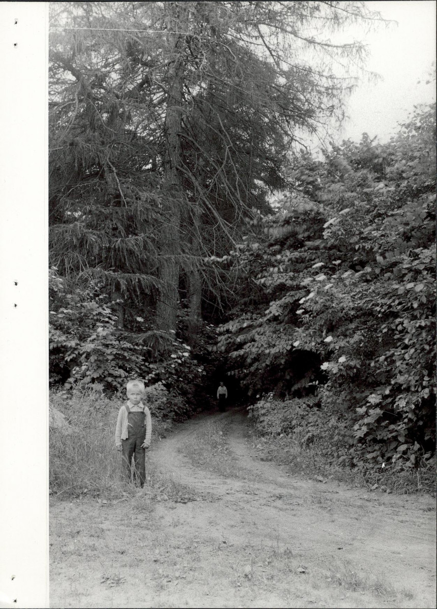 Ewidencja parkowa, skan nr 25