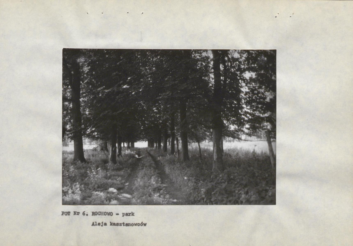 Ewidencja parkowa, skan nr 20
