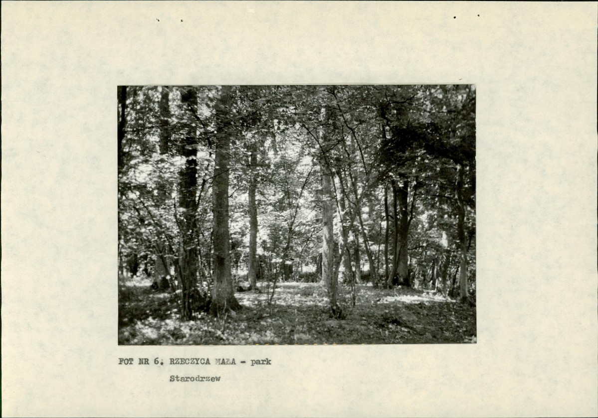 Ewidencja parkowa, skan nr 19