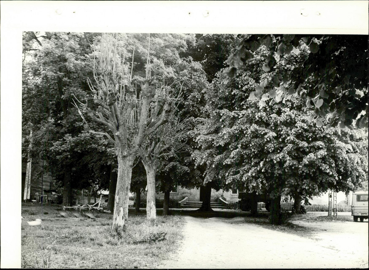 Ewidencja parkowa, skan nr 13