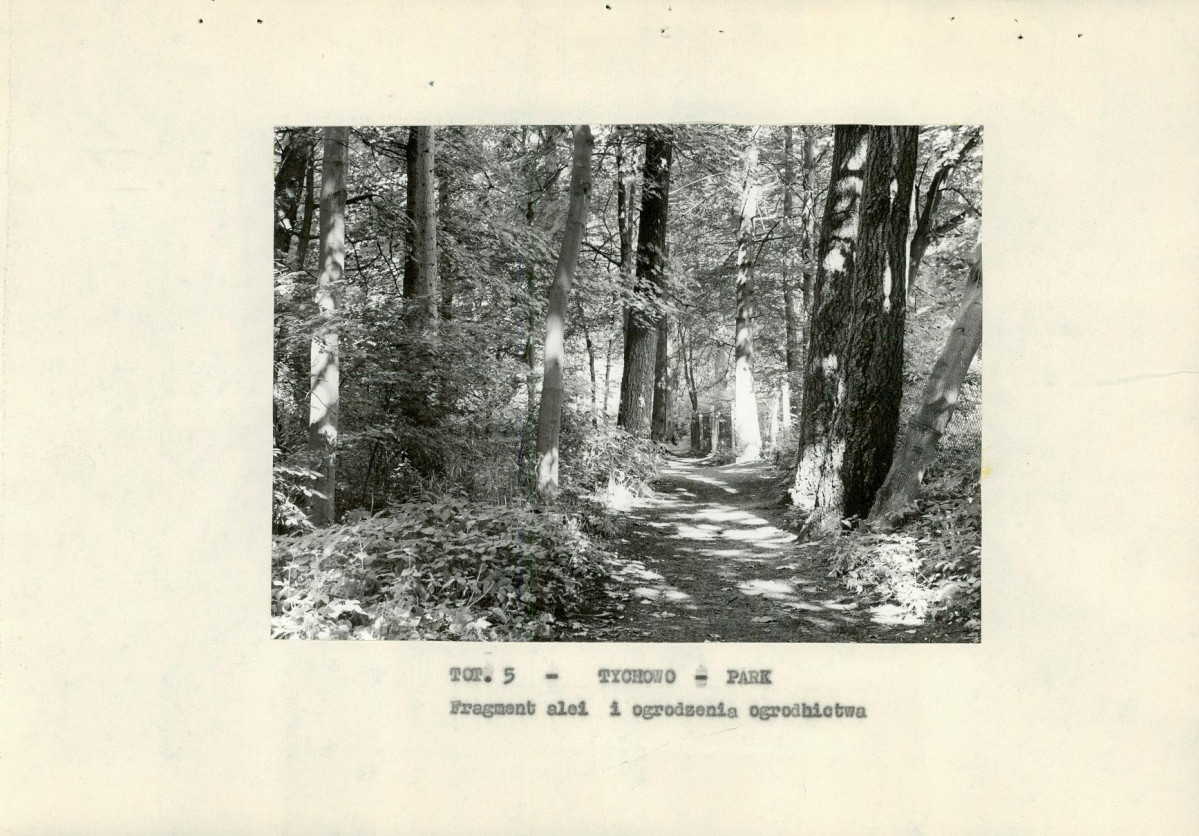 Ewidencja parkowa, skan nr 29