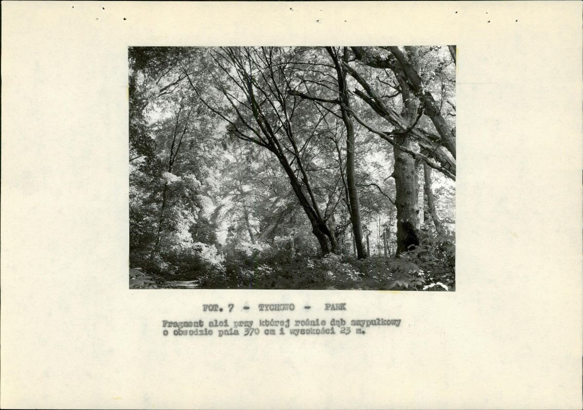 Ewidencja parkowa, skan nr 31