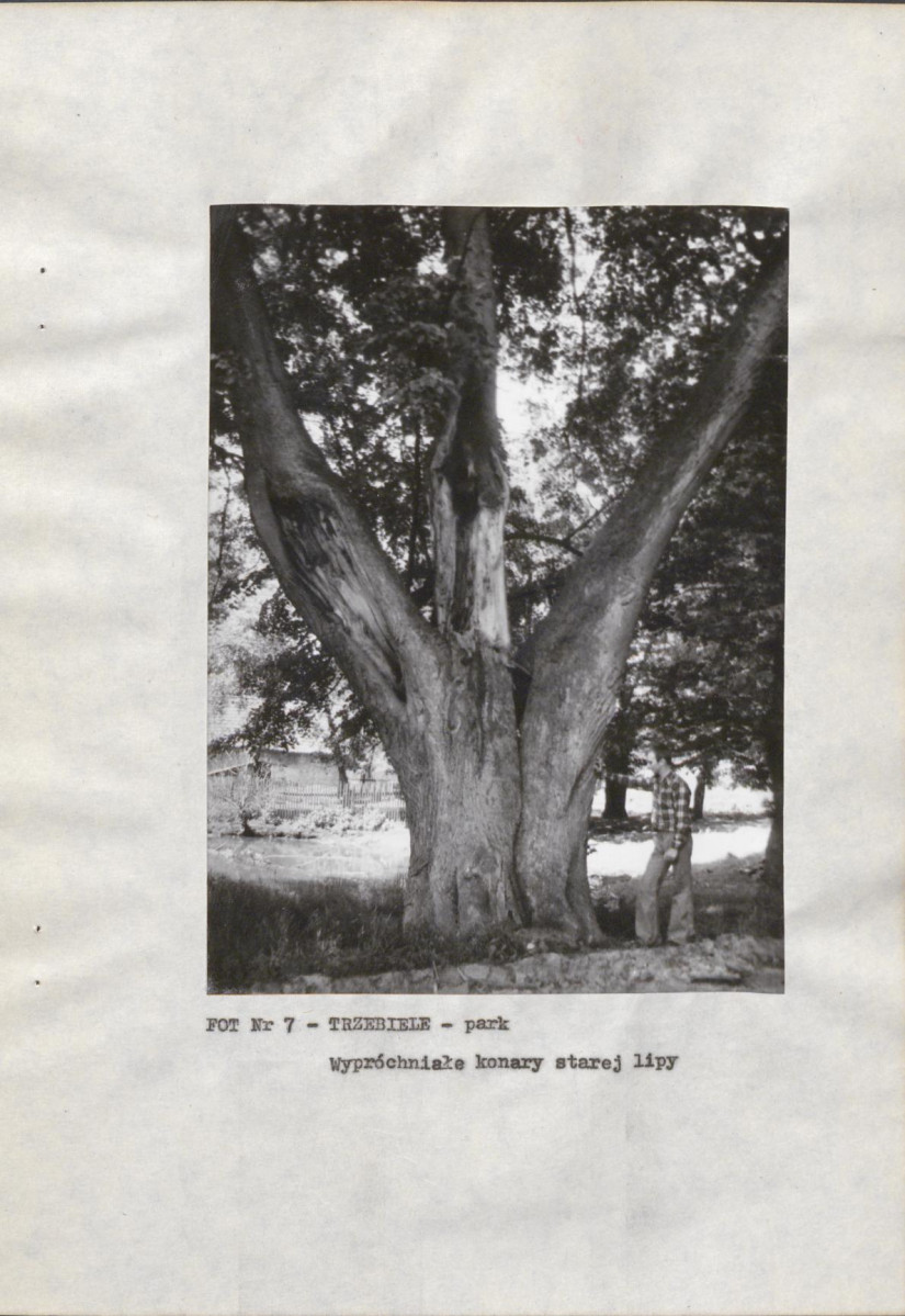 EP - Ewidencja parkowa, skan nr 21