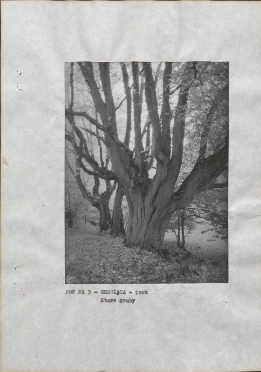EP - Ewidencja parkowa, skan nr 20