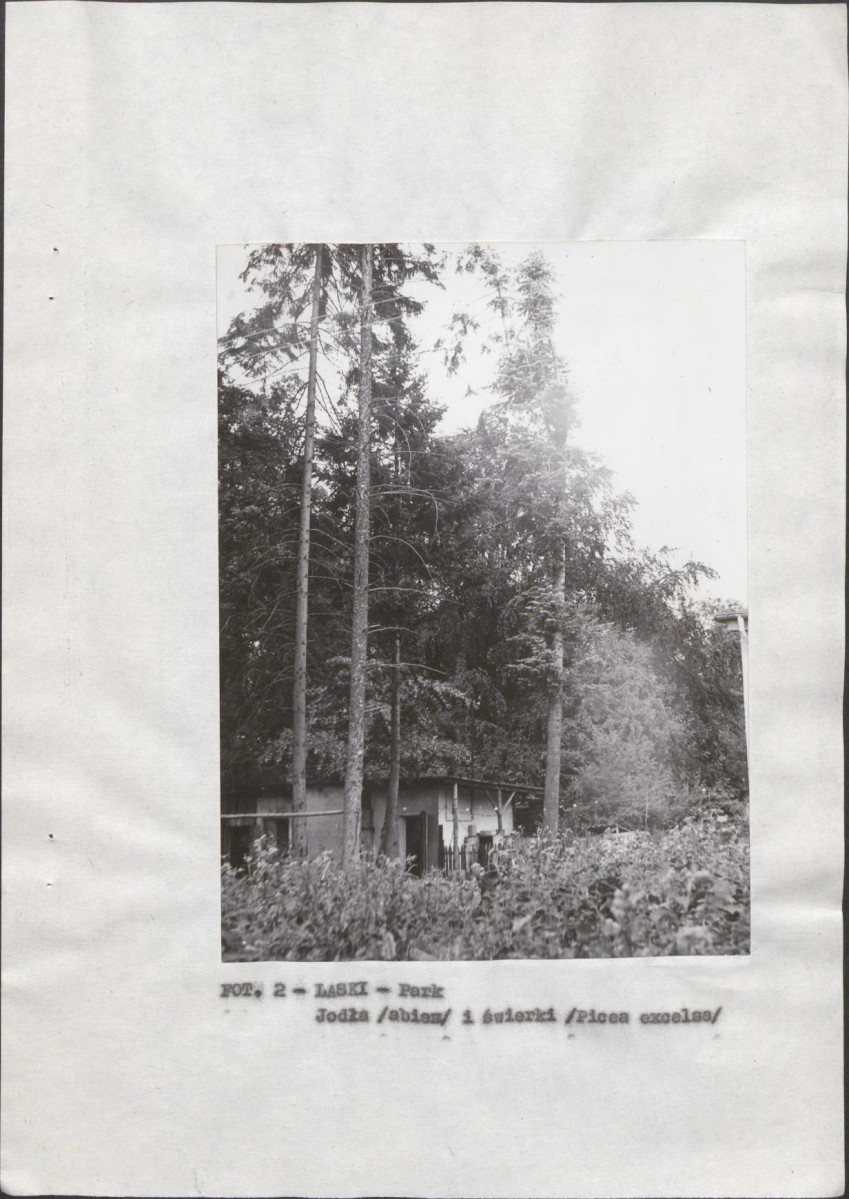 Ewidencja parkowa, skan nr 13