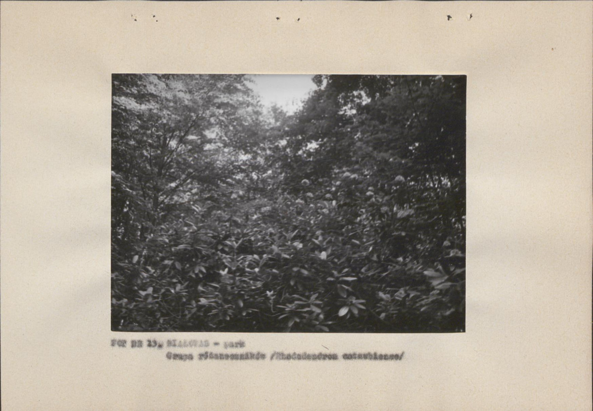 EP - Ewidencja parkowa, skan nr 29